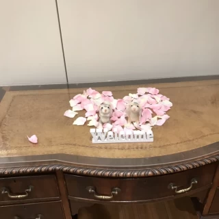受付