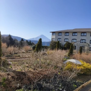富士山が見える|560228さんの箱根の森高原教会・ホテルグリーンプラザ箱根の写真(1004190)