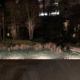 庭園です。披露宴会場からはガラス張りで見えます。