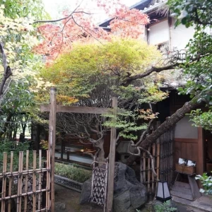 秋|560312さんのよし川（営業終了）の写真(1004779)