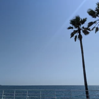 チャペルからの景色