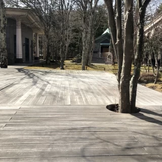 挙式会場を出たお庭です。3月です。