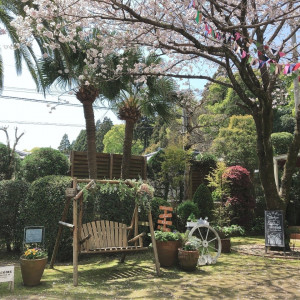 ガーデン|560410さんのガーデンベルズ宮崎の写真(1021702)