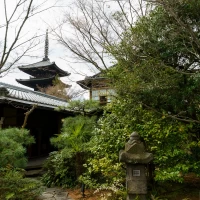 庭の様子