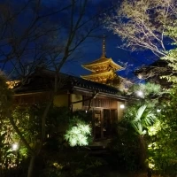 夜の様子