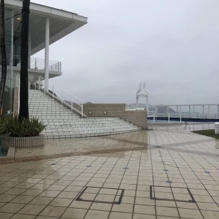 雪の日の様子