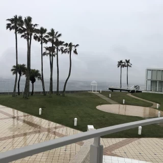 披露宴会場から見えるガーデン。雪でした