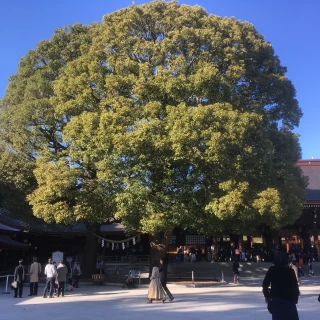 明治神宮