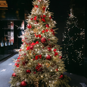 12月は立派なクリスマスツリーも飾られていました。|560656さんのトゥールダルジャンの写真(1008533)