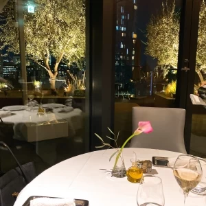 ミッドダウンのテラスは、緑が多く、開放感もありました。|560656さんのフィリップ・ミル 東京（ひらまつウエディング）の写真(1008254)