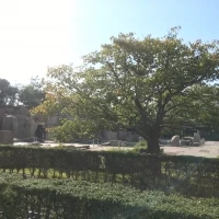 このガーデンで前撮りもできます