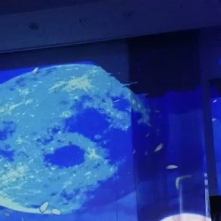 会場内のプロジェクションマッピングの映像