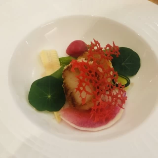 色あいが綺麗