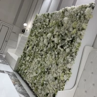パリテイストのバンケットにあるインスタウォール！