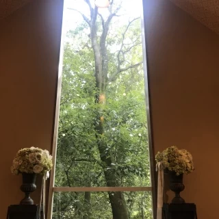 どんぐりの木に誓いを