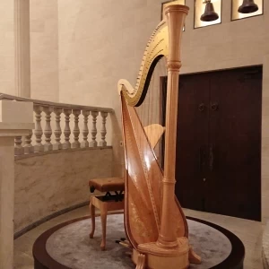 ハープの生演奏あります。|561444さんのアゴラシオンの写真(1016760)