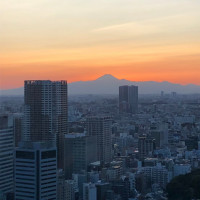 富士山が見えました