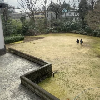 庭