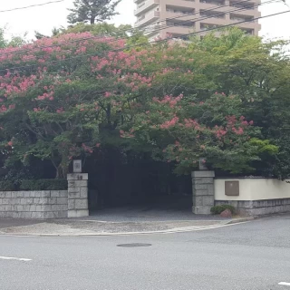 グリーンに迎えられる特別感ある入り口☆