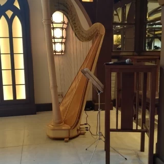 生演奏