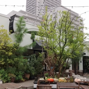 挙式できる場所1|562301さんのTENOHA DAIKANYAMA（テノハダイカンヤマ）の写真(1031088)