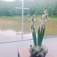 挙式後