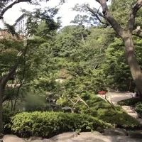 庭園