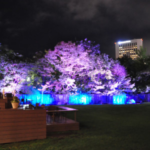 会場からつながっている庭です（暗くなったとき）|562895さんの札幌パークホテルの写真(1037708)