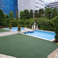 敷地内のプール