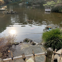 庭園には鯉が泳ぐ池がありました