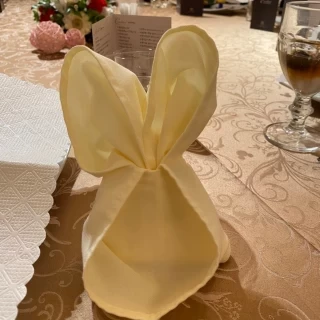 ゲストのナプキンもミッキーにしてもらいました。