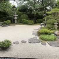 和のお庭です。