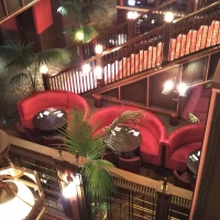 上から見るのも良い