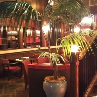 南国な雰囲気です