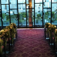 窓からの緑がきれい