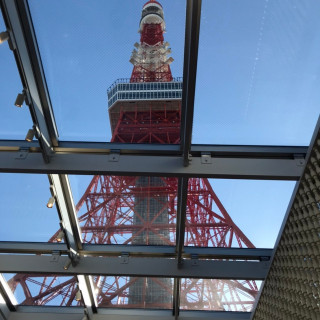 天井は全面ガラスになっており、見上げると東京タワーが見える。