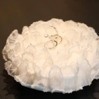 リングピローは会場のものをお借りしました