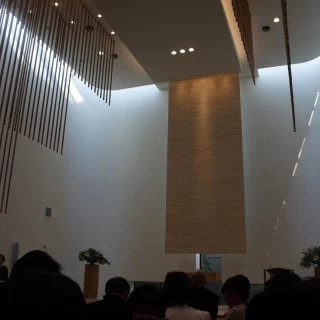 暗い感じなのはカメラの設定間違い。本当はもっと明るいです。