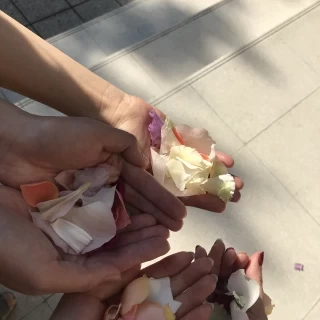フラワーシャワーはチャペル外で行いました。