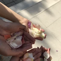 フラワーシャワーはチャペル外で行いました。