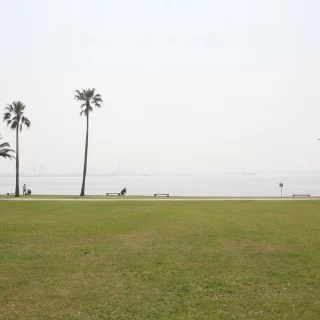 挙式会場から海が見えます。