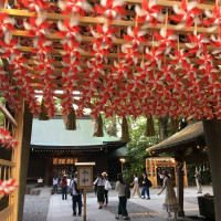 氷川神社は季節ごとに特徴のある装飾が楽しめる