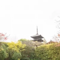 窓から五重の塔がみえるのが魅力的でした