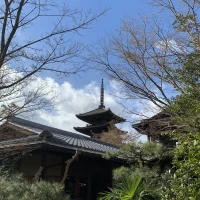 お庭から撮った一枚です。