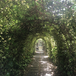 ガーデンに続く緑のトンネル