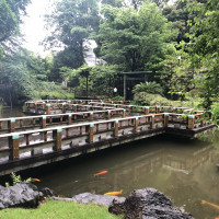 東郷神社にある橋、庭参進の際はのここも通ることができる