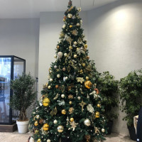 クリスマスツリーがロビーに飾られている