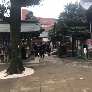 手洗い場|564506さんの鳩森八幡神社の写真(1054953)