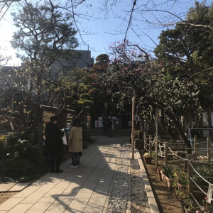 参進できます|564506さんの鳩森八幡神社の写真(1054949)