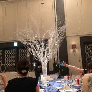 ホワイトの木を基調に